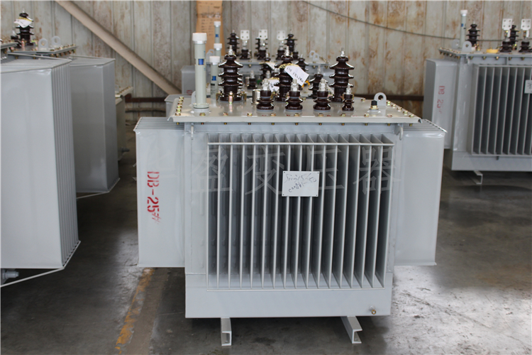 楚雄S20-800kVA/10kV/0.4kV变压器